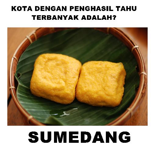 meme kota  © 2016 brilio.net meme kota  © 2016 brilio.net