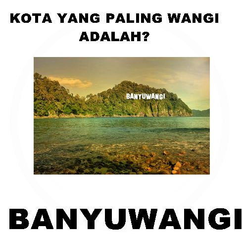 meme kota  © 2016 brilio.net meme kota  © 2016 brilio.net