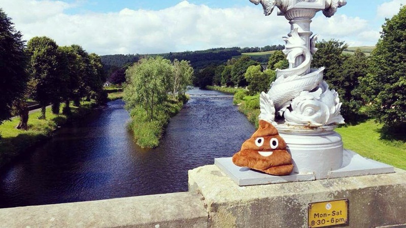 Bantal Feses © 2016 brilio.net Bantal Feses © 2016 brilio.net