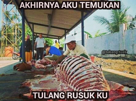 meme tulang rusuk © 2016 istimewa