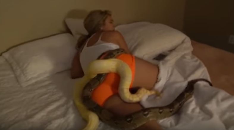 pria ini jahili kekasihnya dengan lempar dua ular piton © 2016 youtube pria ini jahili kekasihnya dengan lempar dua ular piton © 2016 youtube
