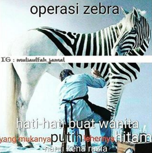 tips operasi zebra © 2016 istimewa