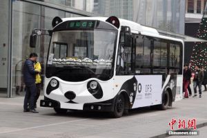Lucunya 'bus panda' ini, dijamin bikin kamu pengen ikutan jalan-jalan