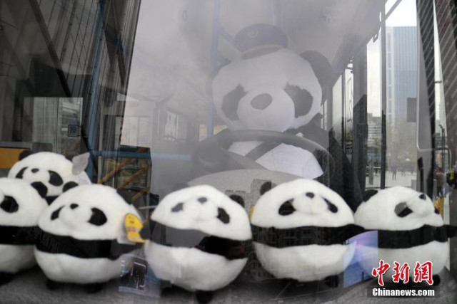 Bus Panda Di China  © 2016 brilio.net
