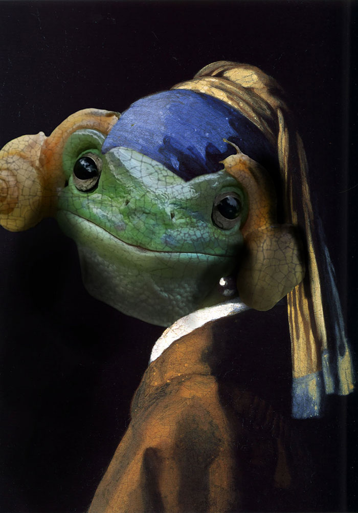 15 Foto editan katak dengan 2 siput nempel di kepala ini kocak banget