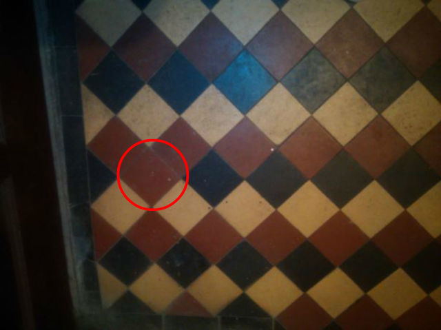 tegel salah pasang © 2016 playbuzz.com tegel salah pasang © 2016 playbuzz.com