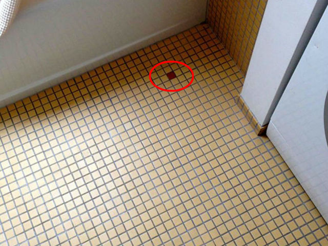 tegel salah pasang © 2016 playbuzz.com tegel salah pasang © 2016 playbuzz.com