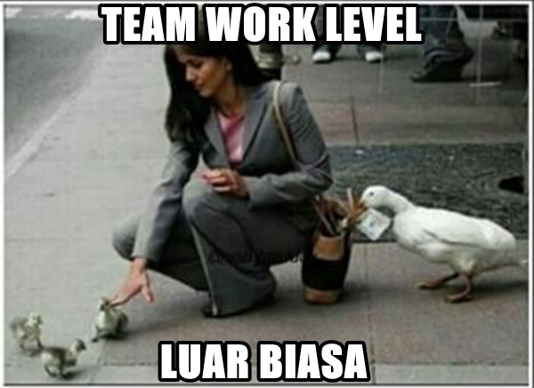 MEme Teamwork © 2016 brilio.net MEme Teamwork © 2016 brilio.net