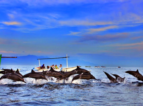 5 Pantai ini wajib kamu kunjungi bila ingin melihat lumba-lumba