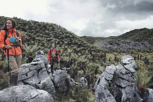 Nadine Chandrawinata ngelus dada saksikan Puncak Cartenz, kenapa ya?