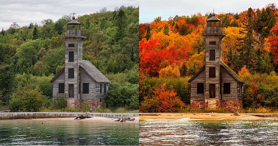 10 Foto indah sebelum dan sesudah musim gugur ini bikin kamu terpana