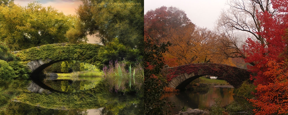 10 Foto indah sebelum dan sesudah musim gugur ini bikin kamu terpana