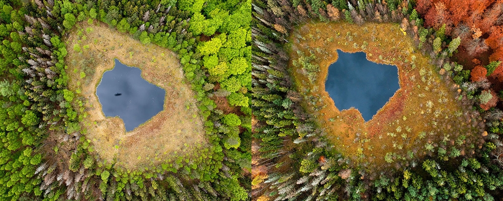 foto sebelum dan sesudah musim gugur © 2016 berbagai sumber