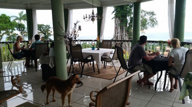 Rumah pohon yang bikin melongo © 2016 berbagai sumber Rumah pohon yang bikin melongo © 2016 berbagai sumber