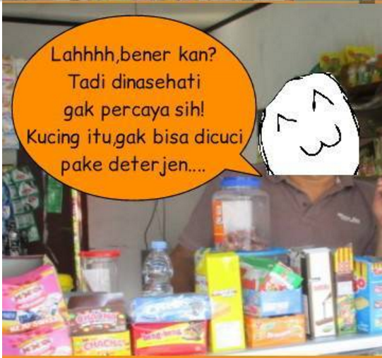 Komik mandiin kucing pakai deterjen 1-11 © 2016 brilio.net Komik mandiin kucing pakai deterjen 1-11 © 2016 brilio.net