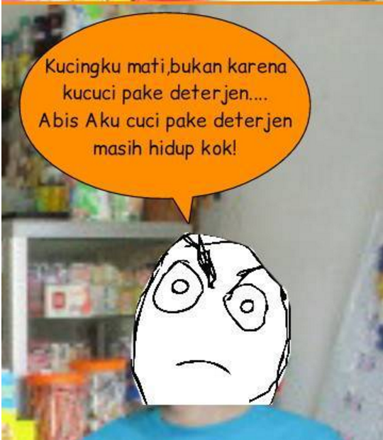 Komik mandiin kucing pakai deterjen 1-11 © 2016 brilio.net Komik mandiin kucing pakai deterjen 1-11 © 2016 brilio.net