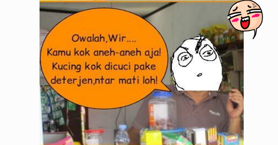 Cerita mandikan kucing pakai deterjen ini malah bikin ngakak endingnya