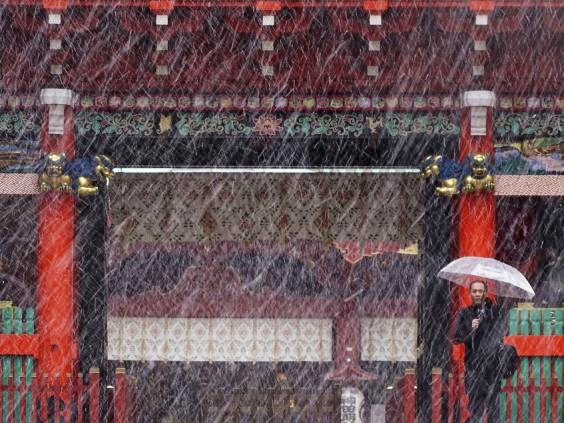 foto salju pertama di Tokyo © 2016 brainberries foto salju pertama di Tokyo © 2016 brainberries