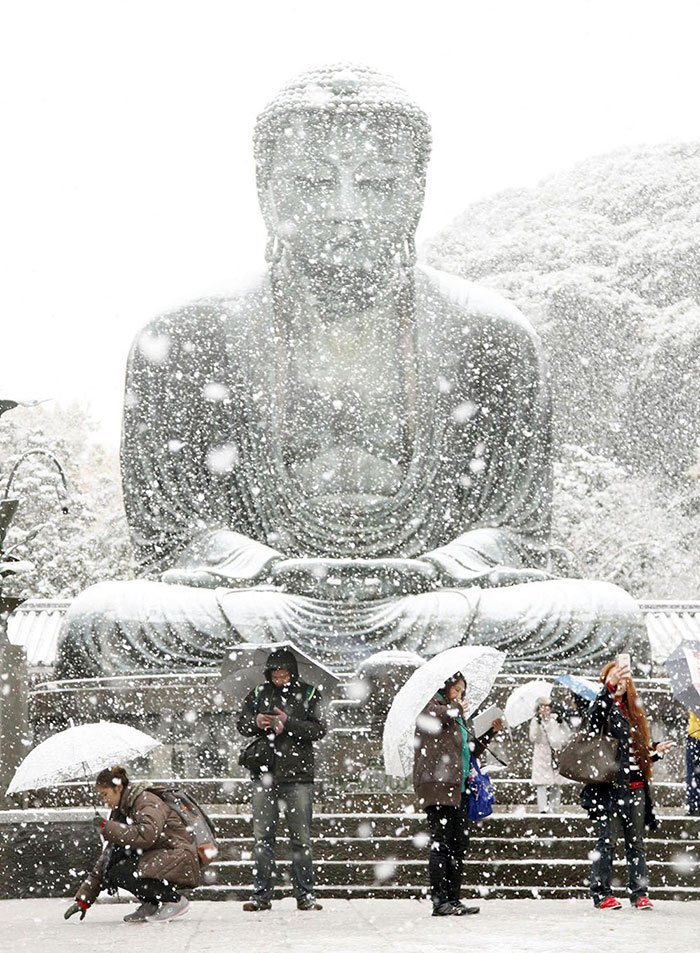 10 Foto indah salju pertama bulan November di Tokyo ini bikin terpana