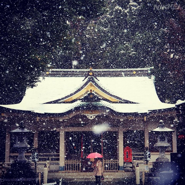10 Foto indah salju pertama bulan November di Tokyo ini bikin terpana
