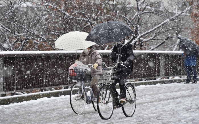 foto salju pertama di Tokyo © 2016 brainberries foto salju pertama di Tokyo © 2016 brainberries