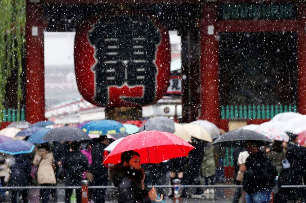 foto salju pertama di Tokyo © 2016 brainberries foto salju pertama di Tokyo © 2016 brainberries