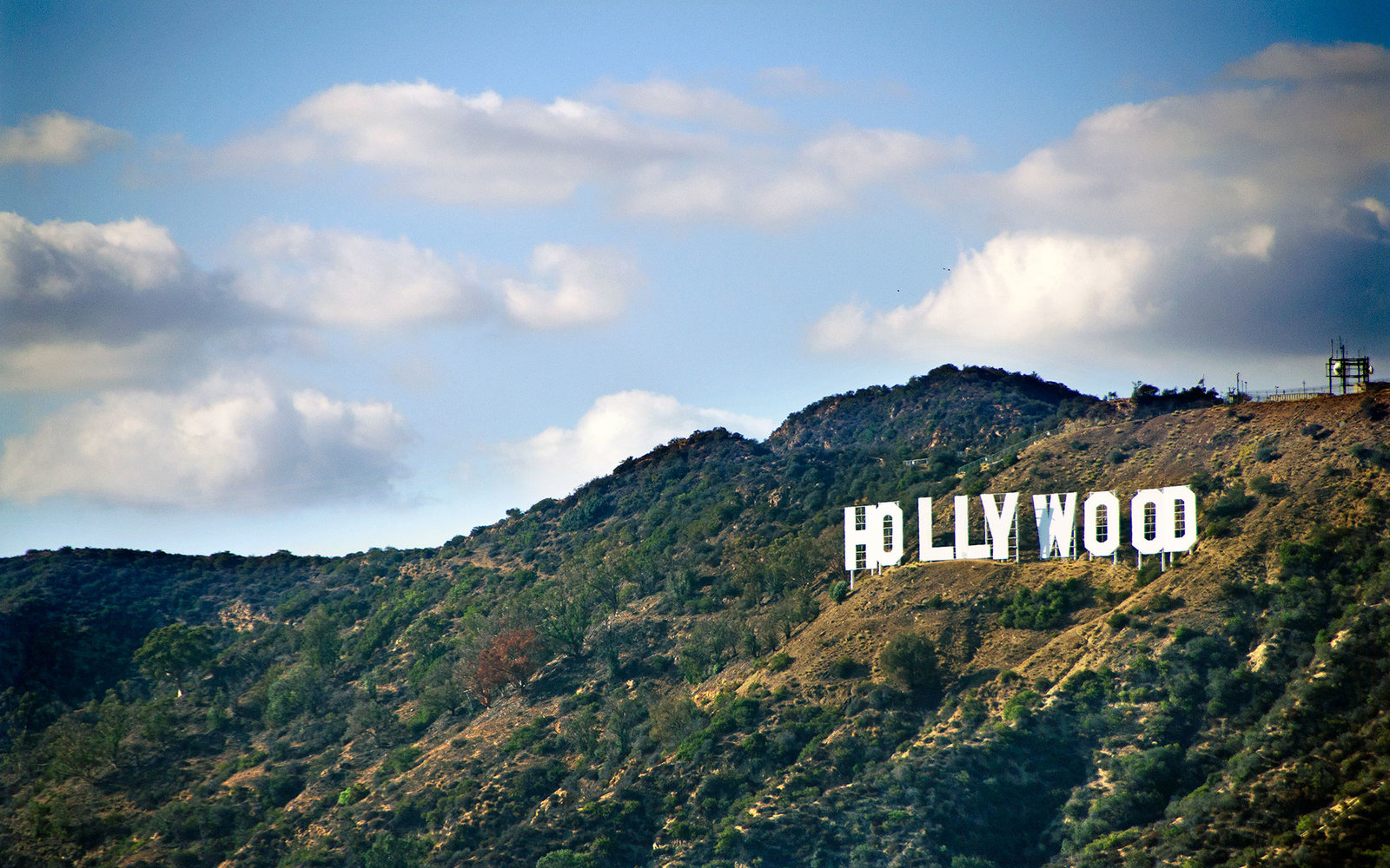 Tak cuma di Monas, aksi 'Super Damai 212' ternyata sampai Hollywood