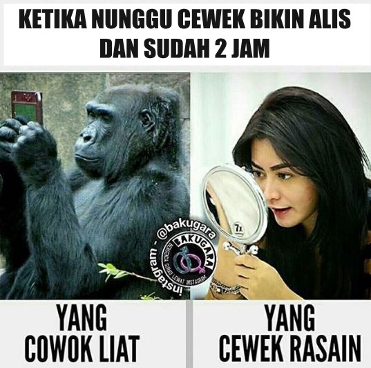 Meme nunggu bikin alis Istimewa Meme nunggu bikin alis Istimewa