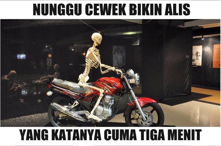 Meme nunggu bikin alis Istimewa Meme nunggu bikin alis Istimewa