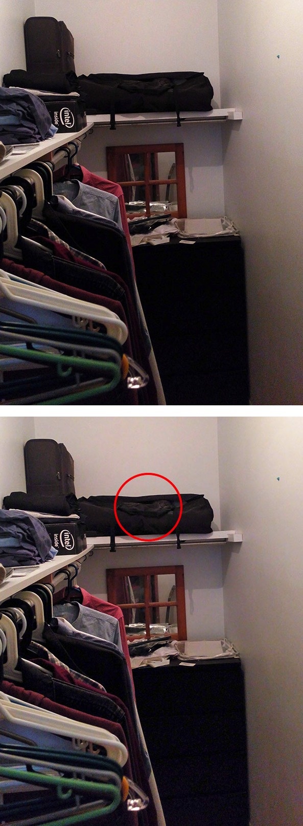 kucing jeli  lifebuzz kucing jeli  lifebuzz