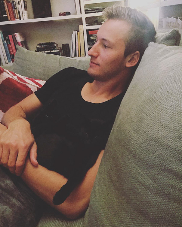 kucing jeli  lifebuzz kucing jeli  lifebuzz