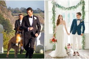 15 Foto anjing jadi pendamping pengantin ini bikin gemas