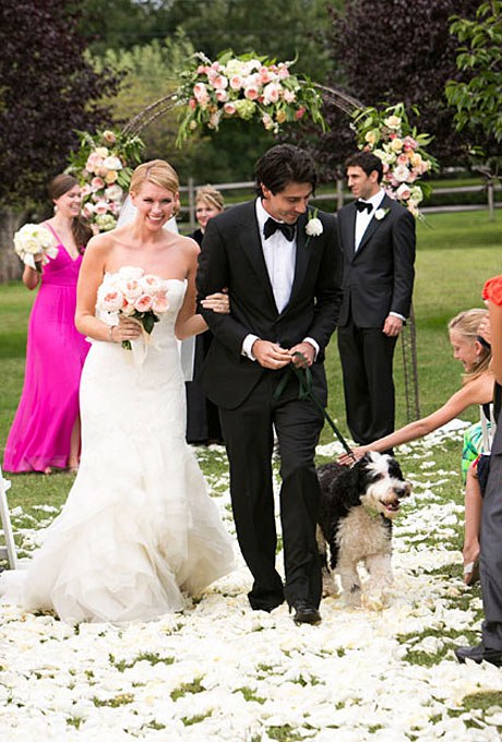 anjing pendamping © 2016 brilio.net