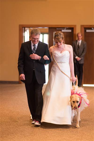 15 Foto anjing jadi pendamping pengantin ini bikin gemas