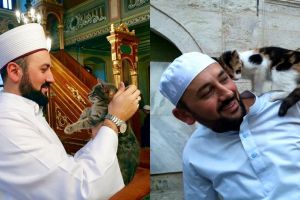Mustafa Efe, imam yang biarkan kucing masuk masjid agar tak kedinginan