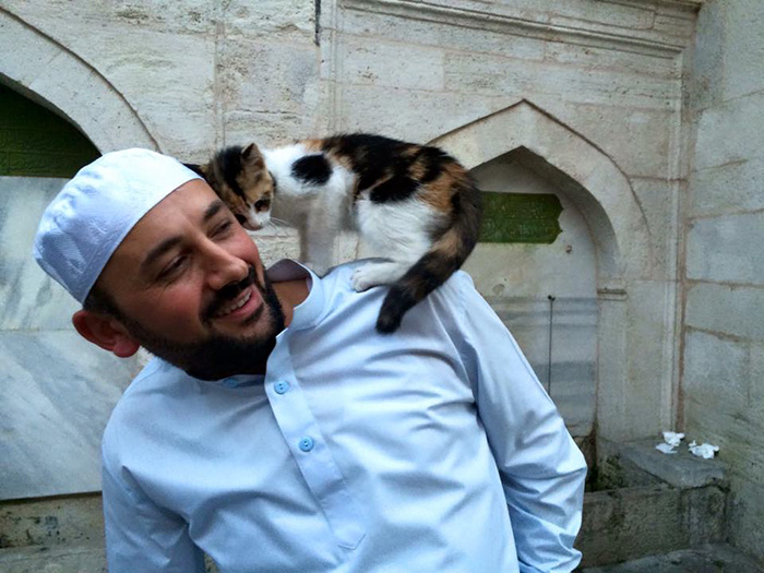 Mustafa efe biarkan kucing masuk masjid © 2016 berbagai sumber