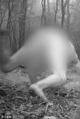 Pria telanjang di hutan ini dikira siluman harimau, duh kok bisa ya?