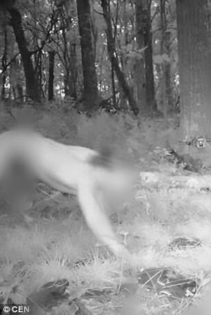 Pria telanjang di hutan ini dikira siluman harimau, duh kok bisa ya?