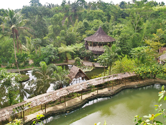 5 Desa wisata unik di Yogyakarta ini bikin kamu pengen