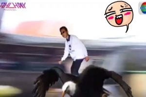 Video absurd editan bocah ini kocak bikin ngakak