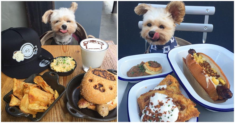 15 Foto lucu anjing makan di restoran ini bikin gemes banget 