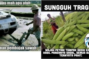 10 Meme 'petani' ini lucunya bikin kamu pengen ikut membajak sawah