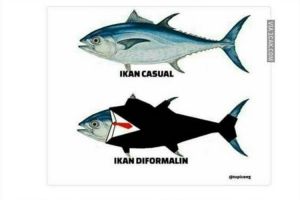 10 Meme 'pakai formalin' ini lucunya bikin awet ketawa