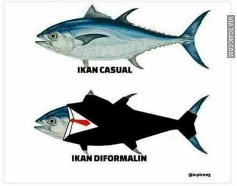 meme formalin  © 2016 brilio.net meme formalin  © 2016 brilio.net