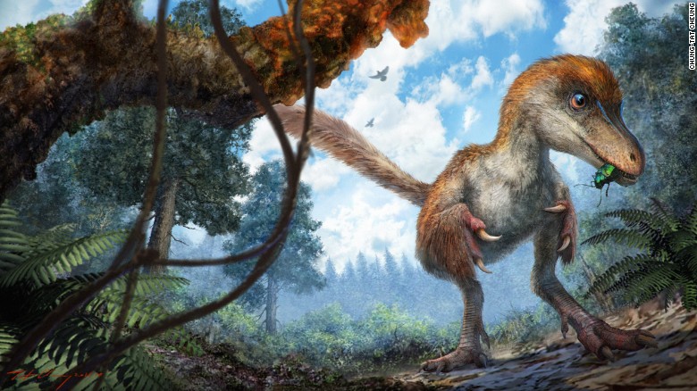 Ditemukan ekor dinosaurus berusia 99 juta tahun, begini penampakannya
