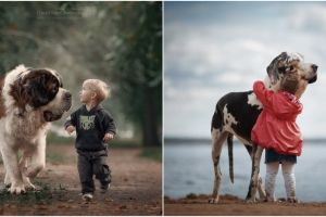 10 Foto ini buktikan si kecil bisa bersahabat dengan anjing, akrabnya