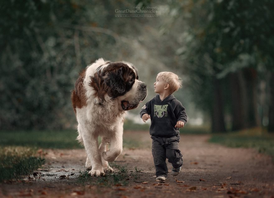 Bayi bersahabat dengan hewan peliharaan © 2016 andyseliverstoff Bayi bersahabat dengan hewan peliharaan © 2016 andyseliverstoff