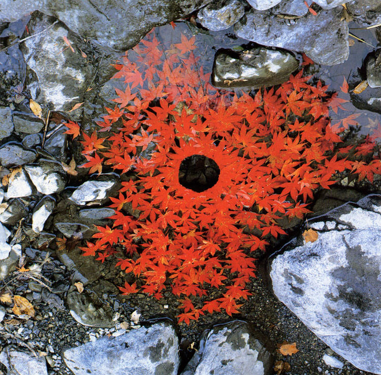 karya seni dari bahan alami © 2016 Andy Goldsworthy