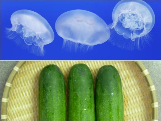 fakta air Istimewa fakta air Istimewa