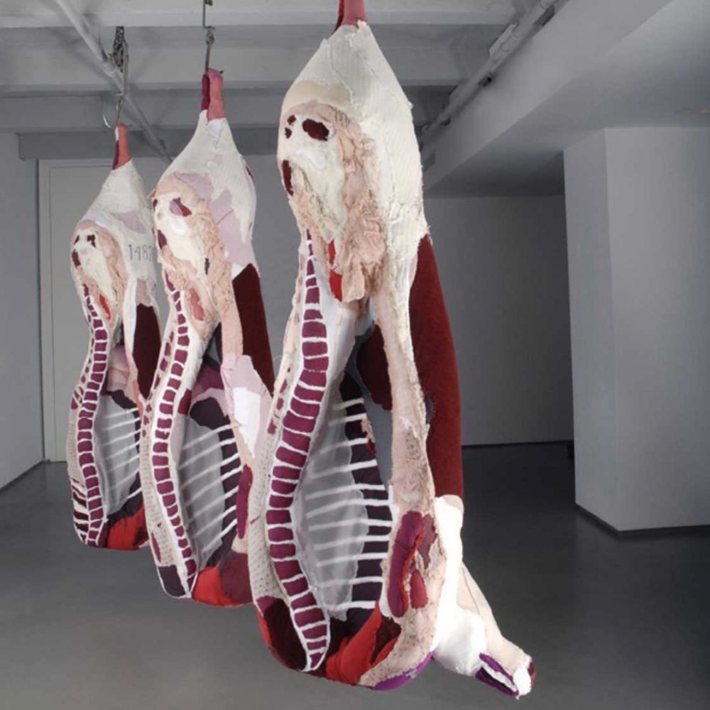 Daging segar dari kain bekas © 2016 ufunk